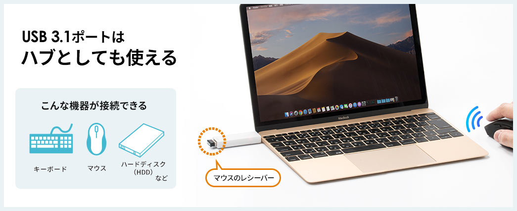 USB3.1ポートはハブとしても使える
