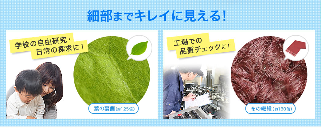 細部までキレイに見える