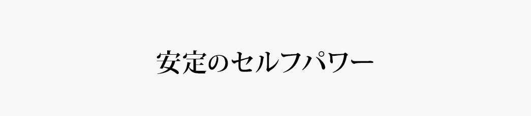 安定のセルフパワー