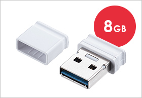 8GB