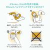 iPhone iPad Lightning USB-C USBメモリ 256GB バックアップ データ転送 画像 動画 MFi認証品