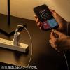 iPhone iPad Lightning USB-C USBメモリ 256GB バックアップ データ転送 画像 動画 MFi認証品