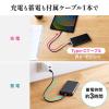 【在庫限り】モバイルバッテリー 大容量 10000mAh PD20W PSE認証済み 薄型 アルミ 飛行機持ち込み可能