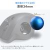 【アウトレット】トラックボール 交換用ボール 34mm ブラック 光沢仕上げ
