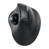 トラックボールマウス チルトホイール 高速スクロール エルゴノミクス 静音 2.4GHz Bluetooth ワイヤレス 5ボタン USB-C充電式 ブラック