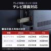 スティック型SSD 256GB USB 10Gbps USB A USB-C デュアルコネクタ 読み込み1000MB/s  ガンメタリック