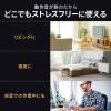 スティック型SSD 256GB USB 10Gbps USB A USB-C デュアルコネクタ 読み込み1000MB/s  ガンメタリック