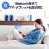 Bluetooth対応 アンプ内蔵スピーカー USB接続 ステレオミニプラグ接続 10W出力 ツイーター搭載