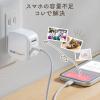 Qubii Power SE USB-C バックアップ & 急速充電 USB PD 30W出力 iPhone Android 対応 microSD保存 ホワイト
