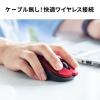 【アウトレット】ワイヤレスマウス 無線 2.4GHz ブルーLED 5ボタン 戻る/進むボタン搭載 DPI切替 ラバーコーティング ガンメタリック