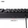 USBハブ付き キーボード USB2.0 USB A×2 テンキーあり メンブレン ブラック