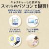 オーディオキャプチャー パソコン不要 SD/USBメモリ保存 RCA/ステレオミニ外部入力