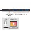 USB Type-Cハブ USB3.1 Gen1×3ポート USB PD対応 ブラック