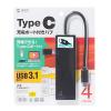 USB Type-Cハブ USB3.1 Gen1×3ポート USB PD対応 ブラック