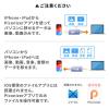 【アウトレット】Piconizer 4 256GB USBメモリ グレー Lightning USB Type-C iPhone Android 対応 MFi認証品