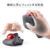【在庫限り】Bluetooth&無線トラックボール GRAVI 人差し指操作 5ボタン 光学式センサー