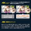 防犯カメラ トレイルカメラ 小型 4K 屋外 工事不要 電源不要 電池式 赤外線 防水防塵IP66