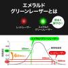 グリーンレーザーポインター 長寿命仕様 80時間連続照射 エメラルドグリーン 耐寒 PSC認証