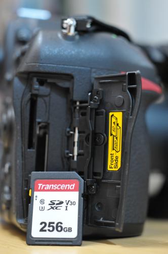 マリンとアイ様使用レビュー画像　TS256GSDC300S